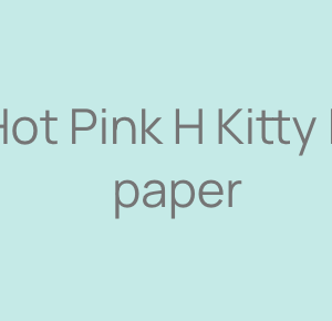 Hot Pink H Kitty LV paper