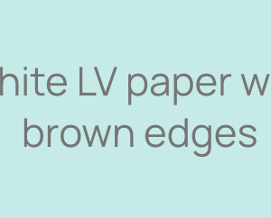White LV paper with brown edges